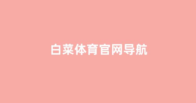华人策略app